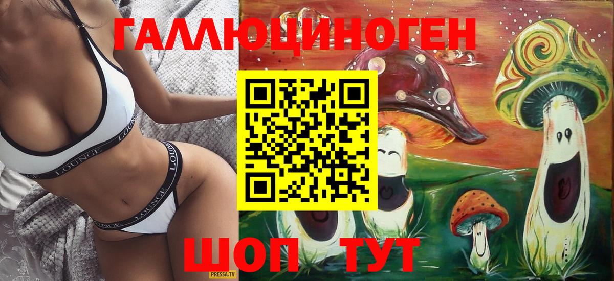 Галлюциногенные грибы прущие грибы  Вход с VPN  Черемхово  Галлюциногенные грибы Psilocybe 