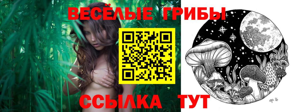 Псилоцибиновые грибы мухоморы Черемхово